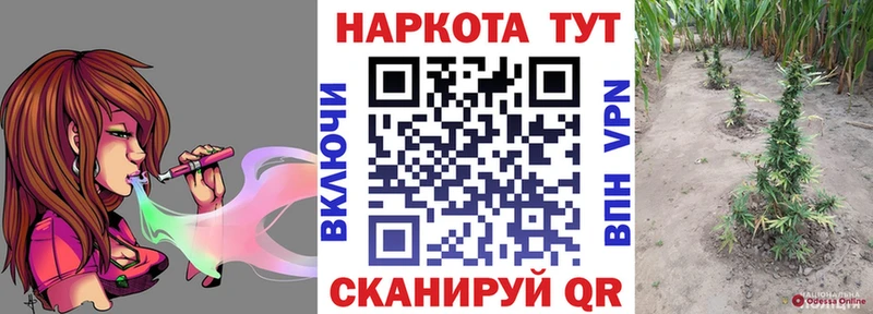 Как найти закладки Городище Каннабис  Меф мяу мяу  MDMA  ГАШ  Кокаин 