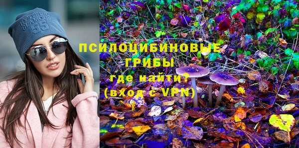 прущие грибы Балабаново