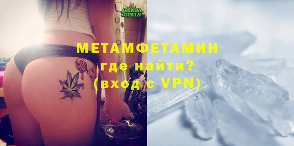 прущие грибы Балабаново