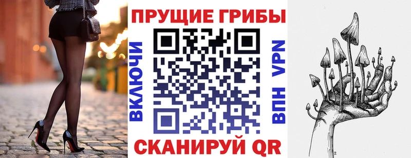 Галлюциногенные грибы Cubensis  Городище 